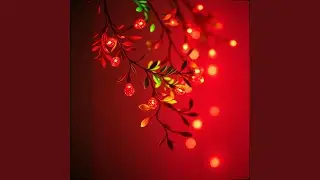 Your my christmas wish