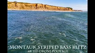 Montauk Striped Bass Blitz - Insane Drone Footage 4K HD