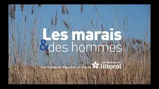 Les marais et des hommes, les marais du Vigueirat