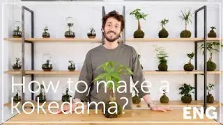 How to make a kokedama? (English version)