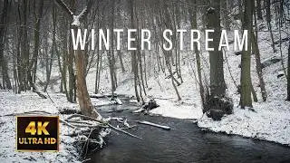 ❄️ 10 Hours of Winter Stream | Snowy Forest Creek Ambience for Sleep & Focus | 4K UHD