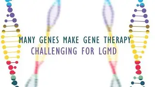 Many Genes Make Gene Therapy Challenging for LGMD