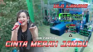 CINTA MERAH JAMBU ~ KIN CANTIKA ~ NEW MS PRO MUSIC LIVE ULO LANANG FAMILY