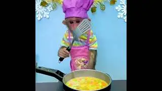 smart Bibi making an omelet 🤑 || The best animals doing things ||