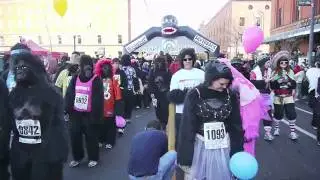 Denver Gorilla Run 2009
