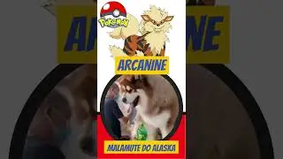 Pok&eacute;mon da Vida Real - Arcanine e Malamute do Alaska [Pokemon in  real life] #shorts