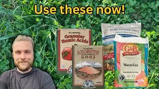 Do this NOW for massive harvest in summer (January garden bed prep)