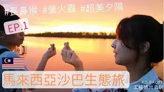 【馬來西亞沙巴】夏日沙巴 - 長鼻猴螢火蟲生態旅 ep.1｜工程師出去玩 rd.dayoff