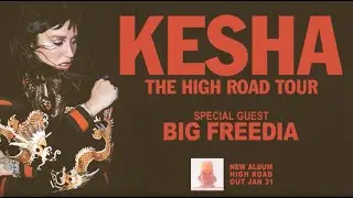 Kesha - High Road Tour Announce