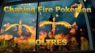 Chasing fire Pokemon MOLTRES