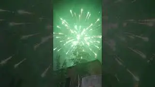 Amazing Fireworks #shorts