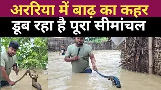 सीमांचल में बाढ़ की तबाही: लोगों की परेशानी और हकीकत