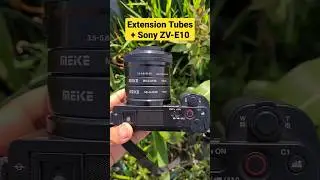 Macro Extension Tubes With Sony ZV-E10 #macro #sony #zve10 #sonyzve10 #macrophotography