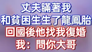【完結】丈夫瞞著我，和貧困生生了對龍鳳胎，回國後他找我復婚，我：問你大哥#夜讀人生 #碧荷講故事 #深夜淺讀 #情感 #完结文 #情感故事 #一口气看完 #老年生活
