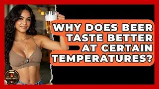 Why Does Beer Taste Better At Certain Temperatures? - The Pint Guy