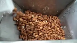 2022 Almond Milk Production Line From A to Z Contact cara@machinehall.com 008613015518550