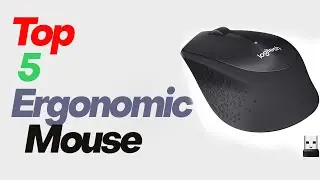 Best Ergonomic Mouse in 2021