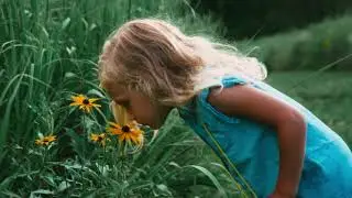 Relaxation music evening time meditation