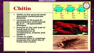 Homopolysaccharides -Ms E Jancy Mary