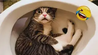🤣 Impossible Try Not To Laugh | Funniest Animals of 2025