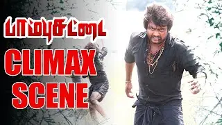 Paambhu Sattai Scenes | நம்ம பணத்தேவைக்கு யாரை வேணாலும் ஏமாத்தலாம் | Bobby Simha | Keerthy Suresh