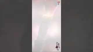 Превращение Леди баг в 3D🤤🐻🖤