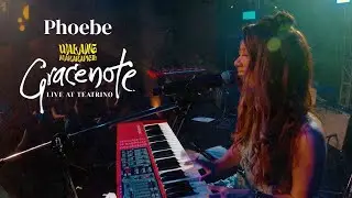Gracenote - Phoebe (Live from Teatrino 