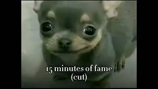 15 minutes of fame (cut)