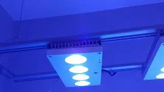AquaIllumination Hydra 64HD 730L reef aquarium