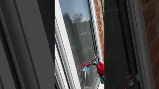 Watch till the end🪴#windowcleaning #professional #cleaning