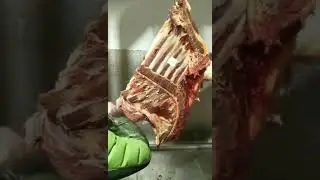 forequarter 🐮