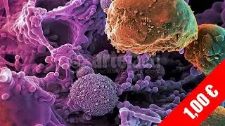 Purple Cells Under the Microscope &mdash; HD Medical Stock Video