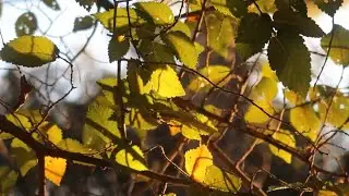 Una mañana de invierno hablando de corazón a corazón | Ser multipasional, poesía, charlas profundas