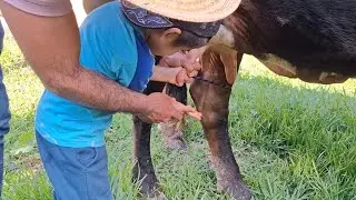 LO HERMOSO DEL CAMPO.🤗🤗
