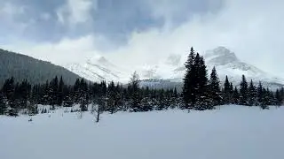Ski touring to halfway hut