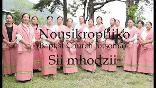 Nousi Kropf&uuml;ko- S&uuml; mhodz&uuml;