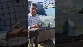vermicompost sell start #shorts #income #sell #viral