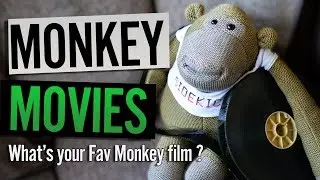 What's Your Favourite Monkey Movie? | Primate Motion Pictures