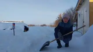 Из города в деревню//Живу одна//