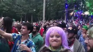 Backwoods Festival 2019 live footage recap