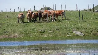 Cantal les lacs, de Sauvages, du Pêcher, de Collanges côté sauvage