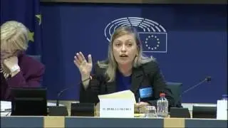 Smart Villages presents in European Parliament Development Committee, 10/10/2016