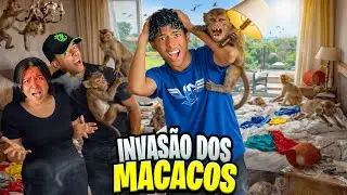 MACACOS SELVAGENS INVADIRAM O QUARTO E DESTRU&Iacute;RAM TUDO!😨