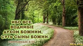 Все водимые Духом Божиим, суть сыны Божии