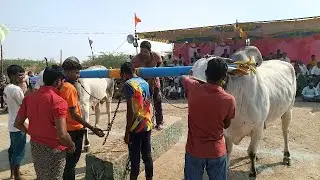 వావిలాల న్యూ కేటగిరి బండలాగుడు విభాగం 5వ జత ఎం ధనుష్ రెడ్డి