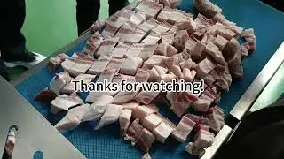 Fresh meat cutting machine & horizontal cutter