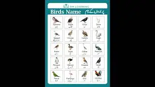 Birds name in English and Urdu #learnbirds  #birdsnames