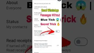 Read WhatsApp Messages Without Blue Tick 😱 | Secret Trick 🔥