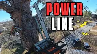 Pine Tree Removing NEXT to the POWER LINE