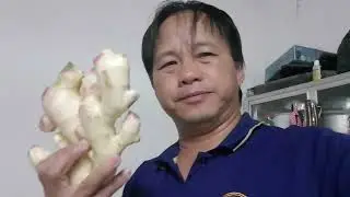 tag kis mam tso movie tub sab deev poj niam ntu kaum ib nawb